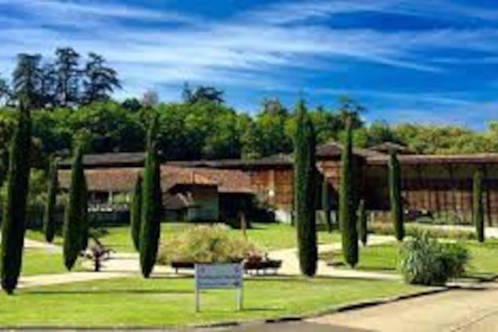 Studio 2 Lits Barbotan Les Thermes Cazaubon Exterior photo